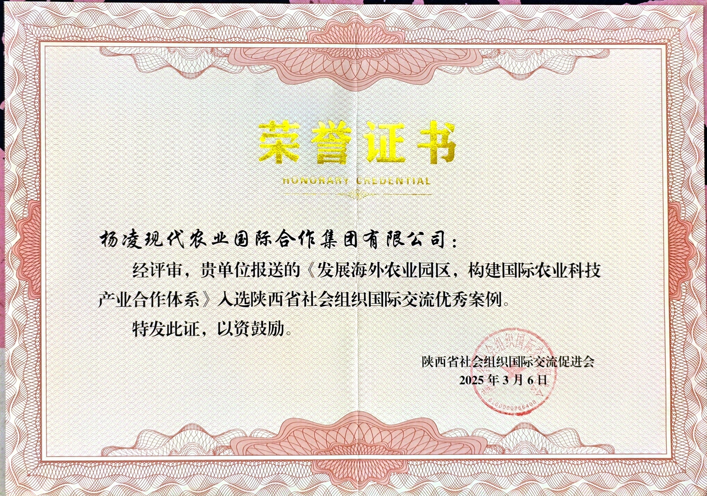 陕西省社会组织国际交流优秀案例