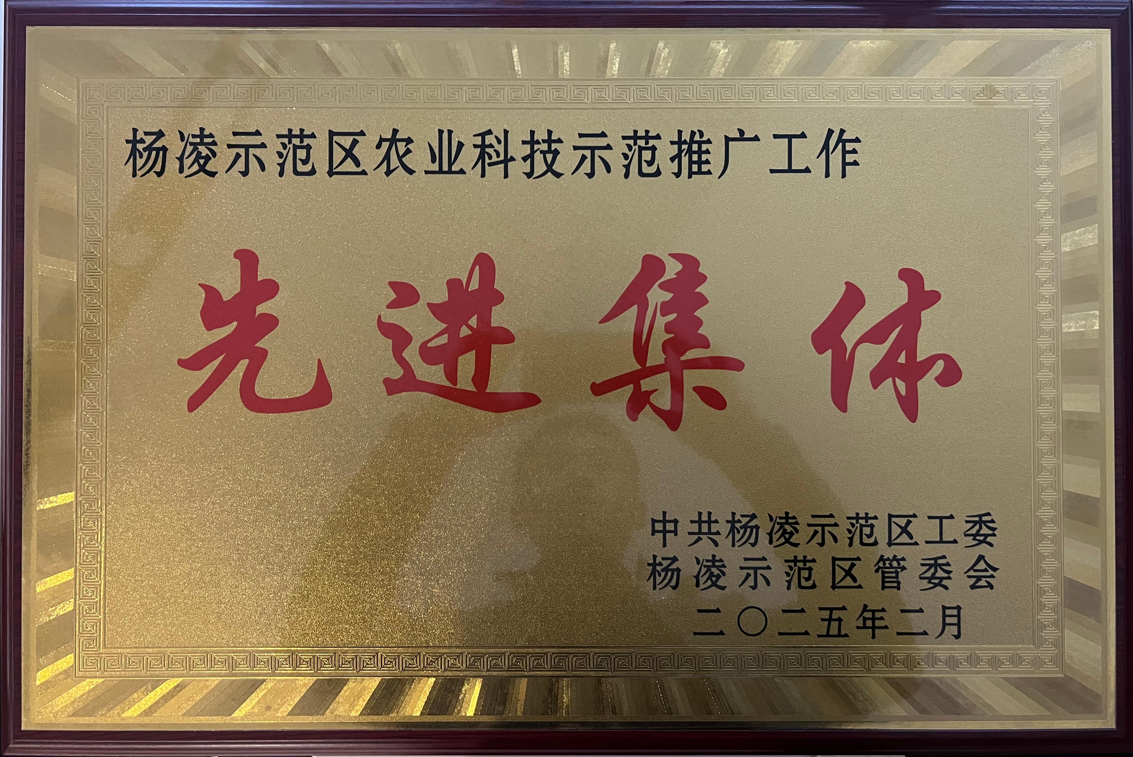 先进集体