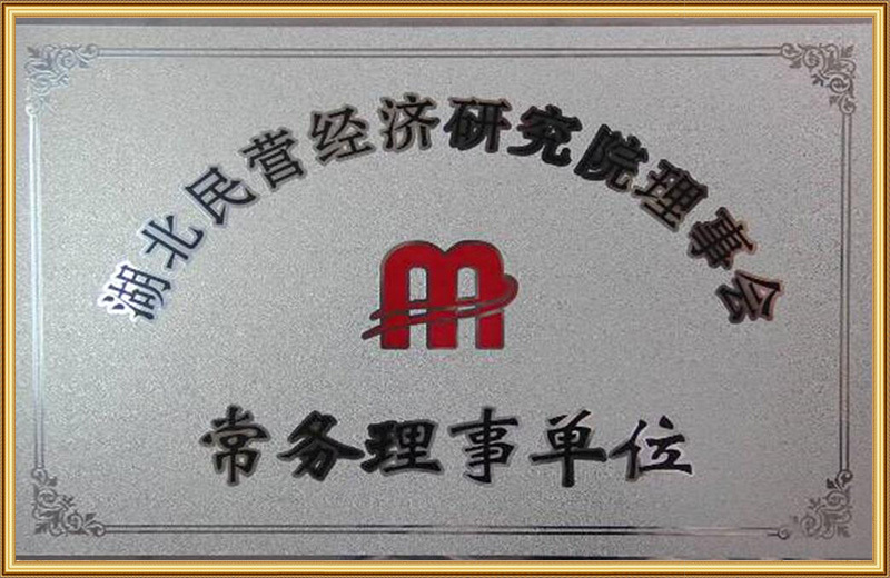 湖北省民营经济研究院理事会常务理事单位