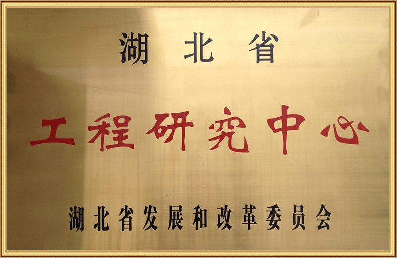 湖北省工程研究中心
