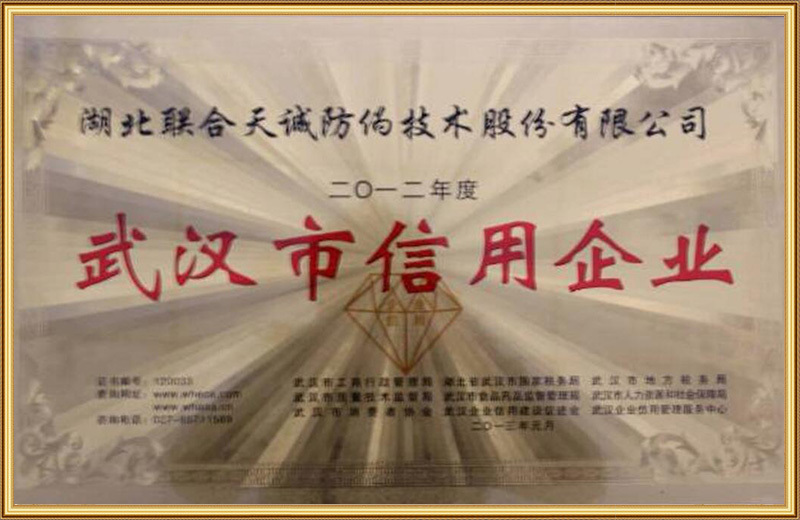 Wuhan Credit Enterprise Wuhan Credit Enterprise