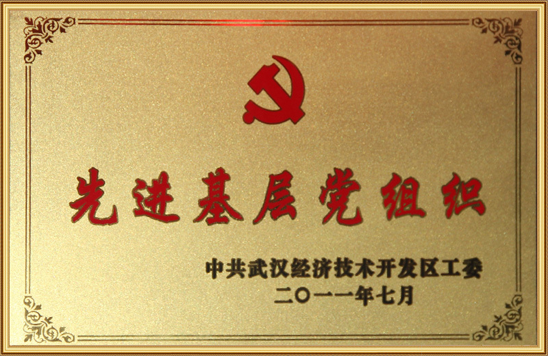 Advanced grass-roots party organizations