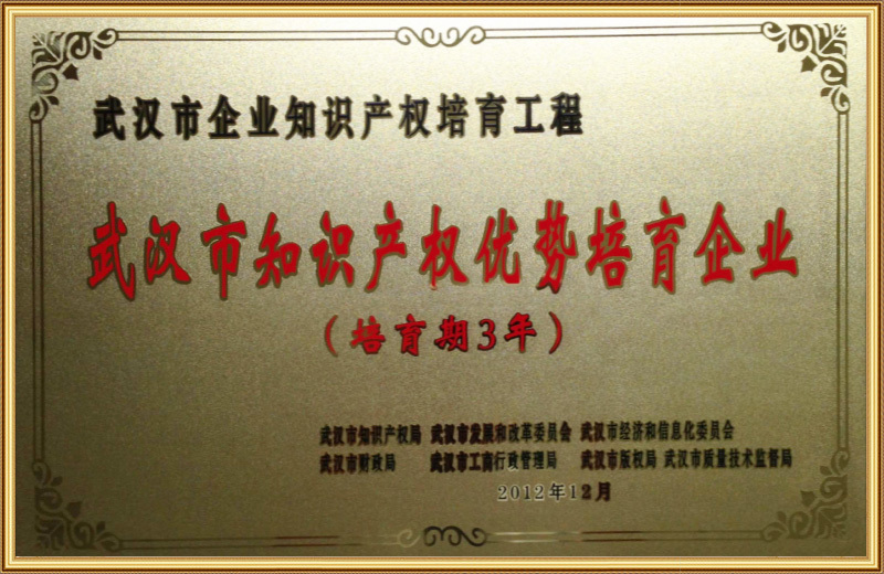 Wuhan Intellectual Property Advantage Cultivation Enterprise