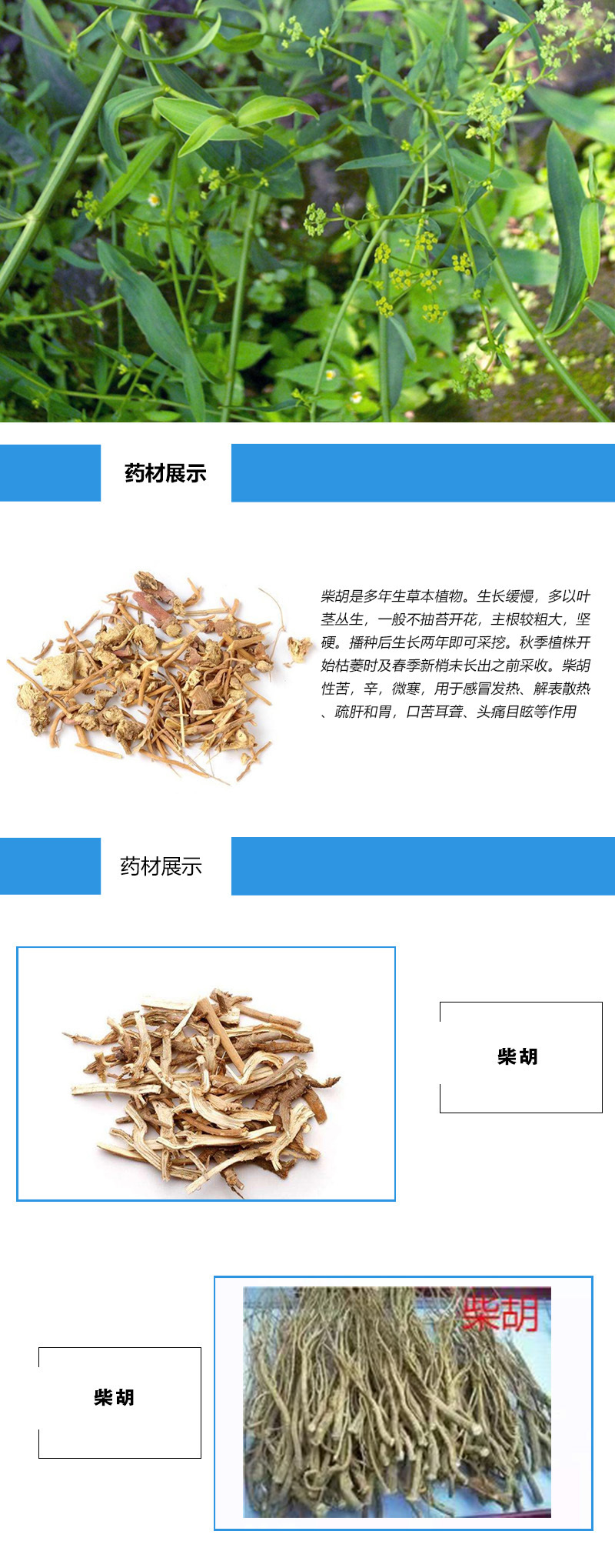 產品