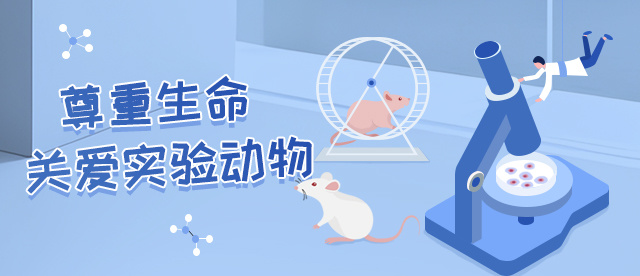 2025新澳门原料网大全新澳门宝典