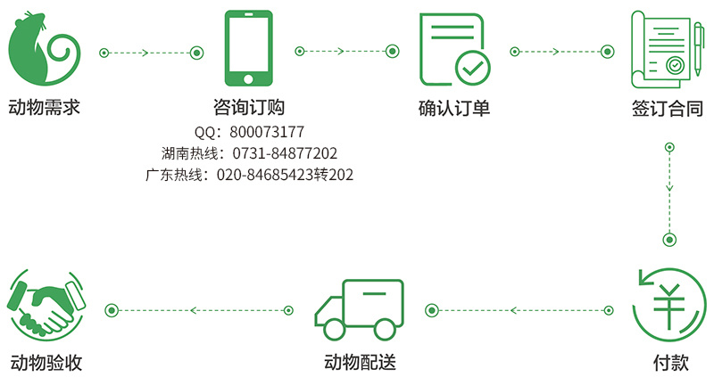 2024新澳门原料网大全新澳门宝典