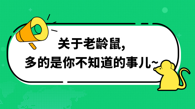 2024新澳门原料网大全新澳门宝典