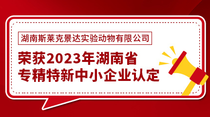 【喜报】斯莱克景达荣获2023年湖南省专精特新中小企业认定