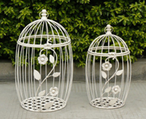 Metal Bird Cages