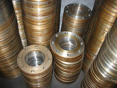 Stainless Steel Flanges