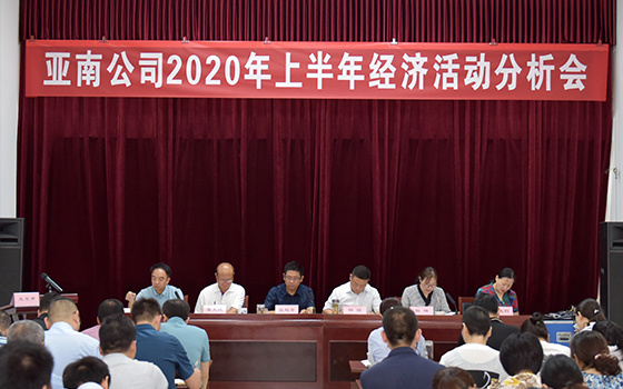 2020年7月17日-亞南公司2020年上半年經(jīng)濟(jì)活動(dòng)分析會(huì)