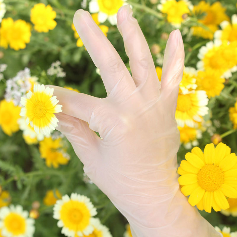 Disposable Household Gloves