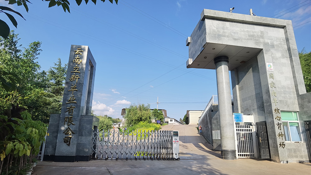 視頻標題 視頻標題