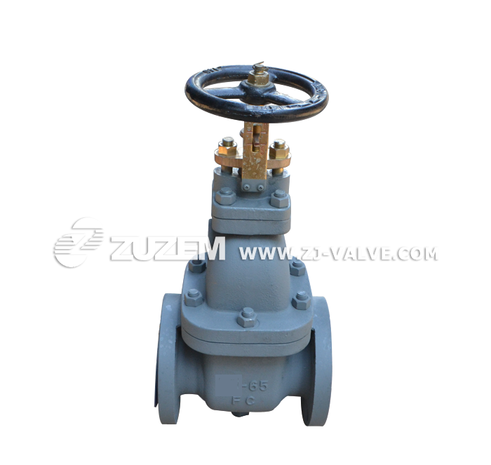  Cast iron 10K gate valves
