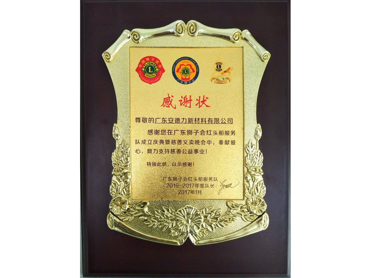 Certificate Of Appreciation From Guangdong Lions Association