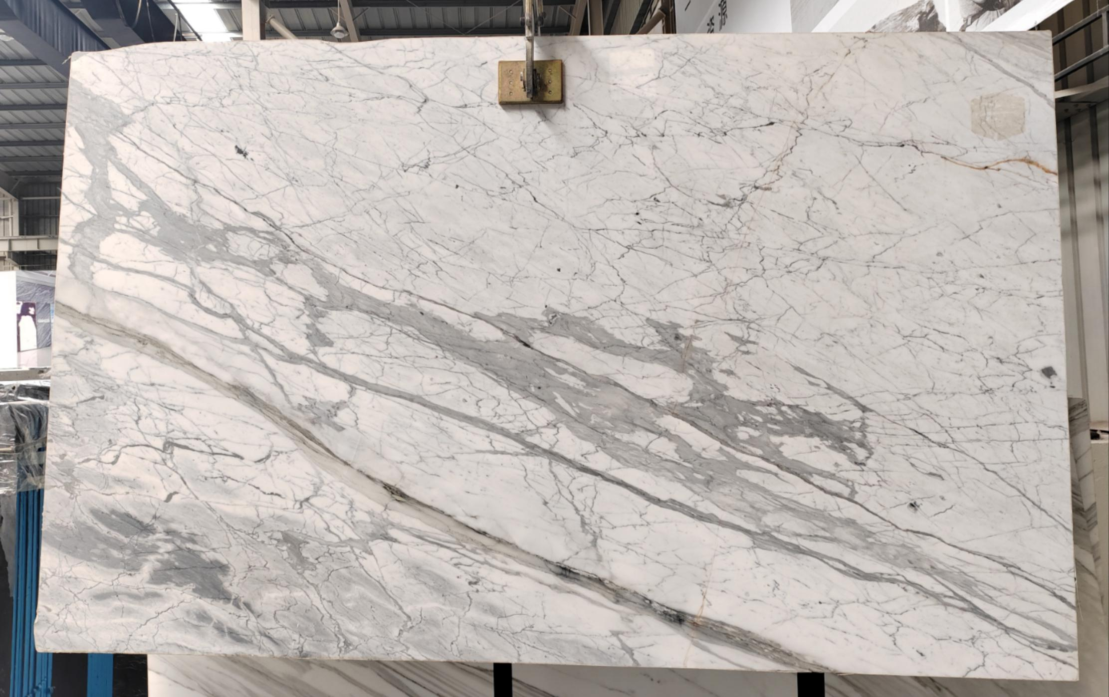 Arabescato  Corchia Natural Marble Tile China