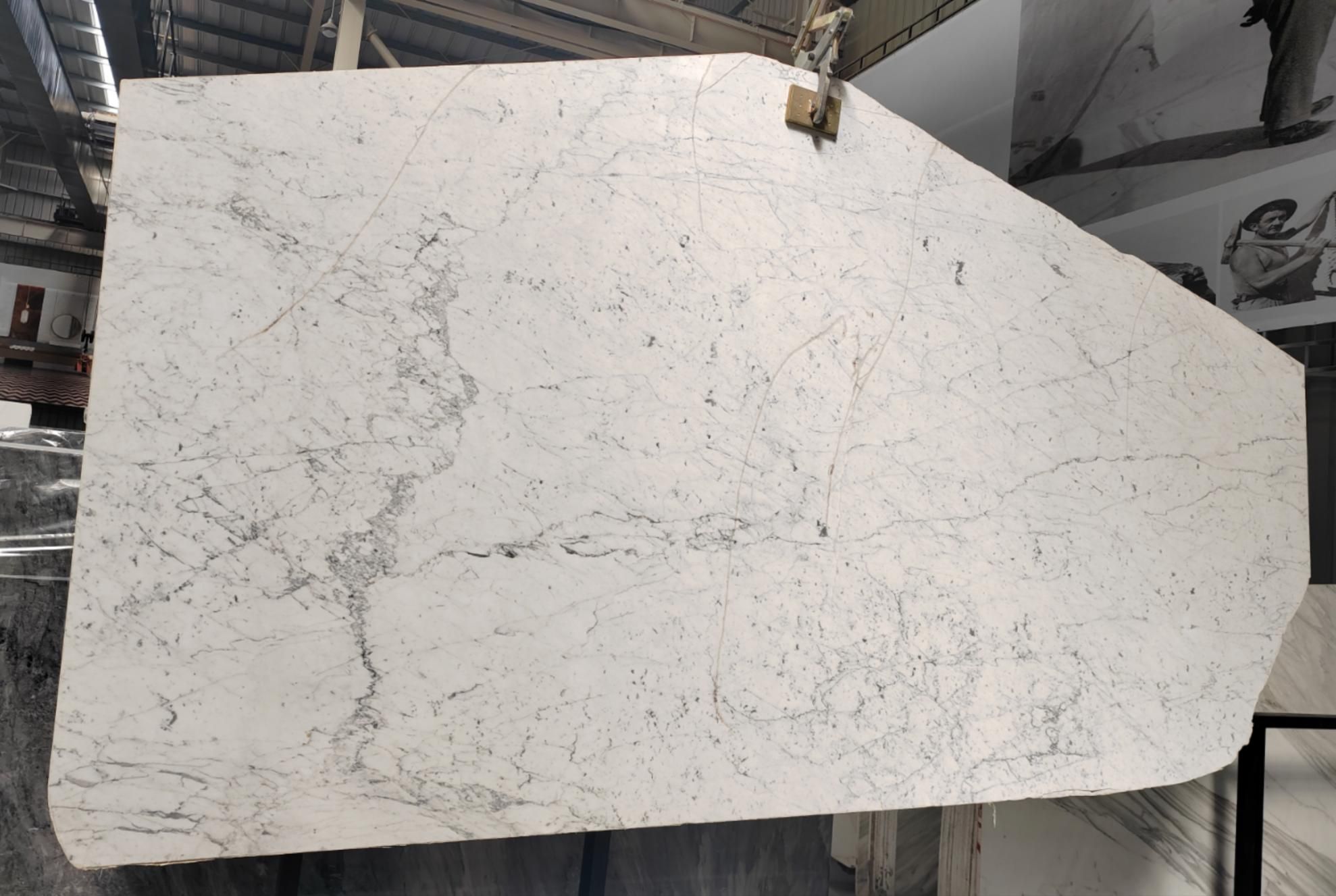 Bianco  Carrara Low Price Natural Marble Tile