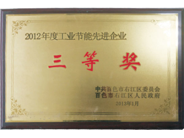 2012年度工业节能先进企业三等奖