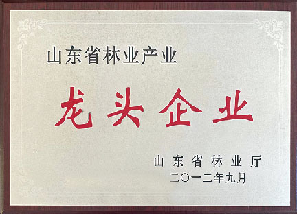 山東省林業(yè)產業(yè)龍頭企業(yè)1