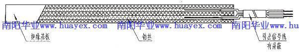 WZPD電機埋置式熱電阻溫度傳感器