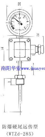 WTZd-01 防爆測溫儀表