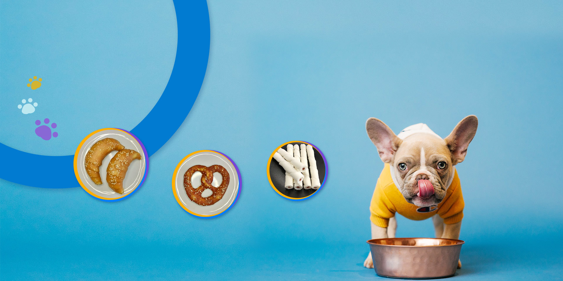 PROFESSIONAL PET SNACK PRODUCTION ENTERPRISE