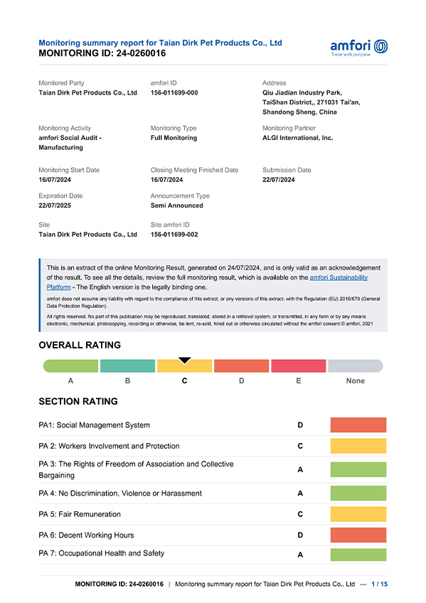 2024bsci Audit Report