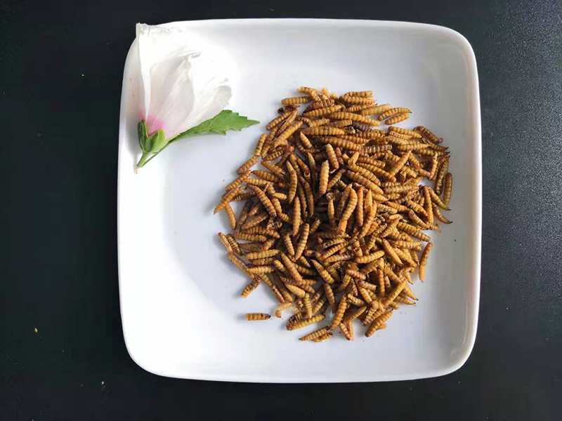 图片名称