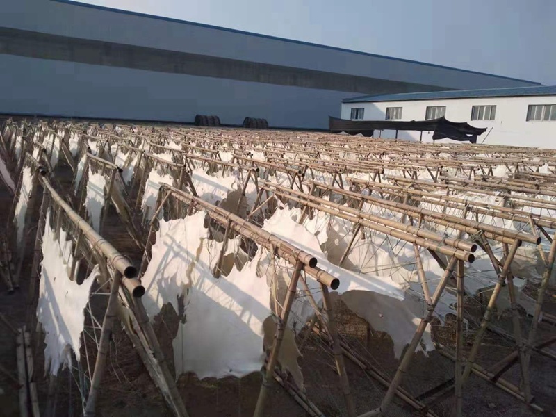 Tanning factory