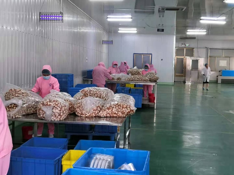 Packaging workshop