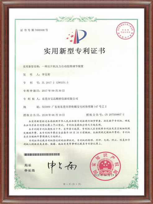Patent Certificate-10 Patent Certificate-10