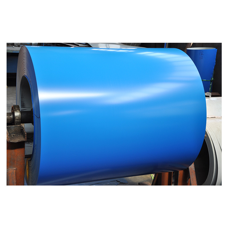 PP coil & sheet