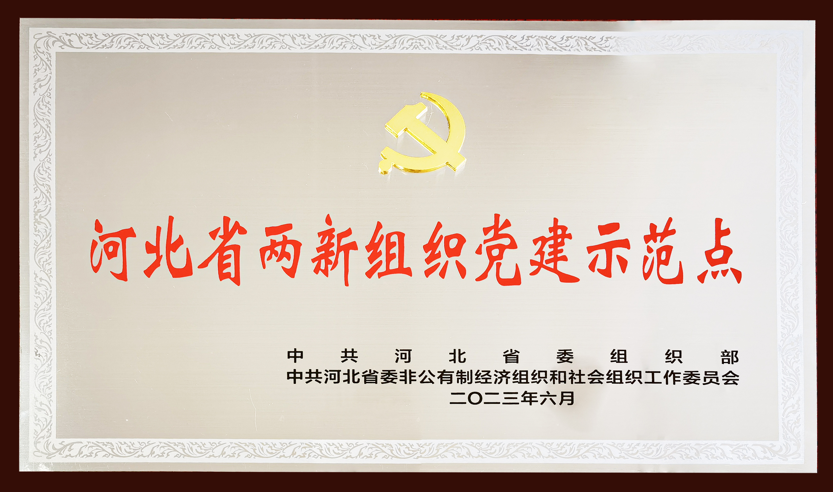 衡橡科技党委荣膺 —— 河北省首批两新组织党建示范点