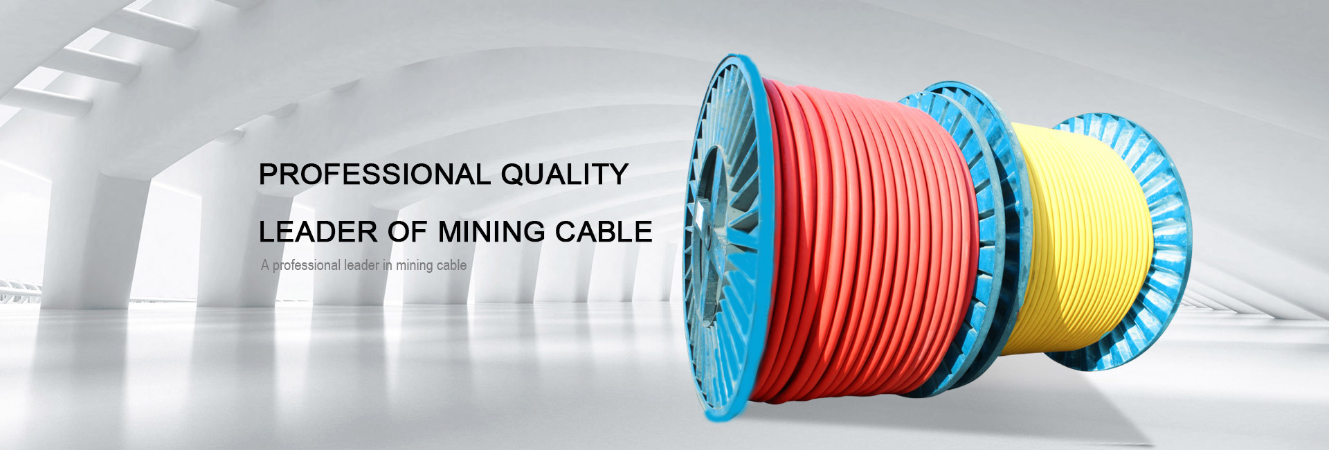 Jinshiji Cable Group Co., Ltd.