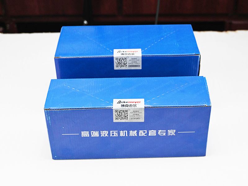 電磁換向閥4WE10