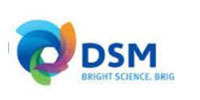 DSM