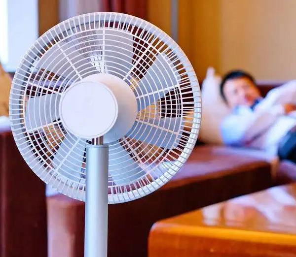 Home electric fan market continues to grow