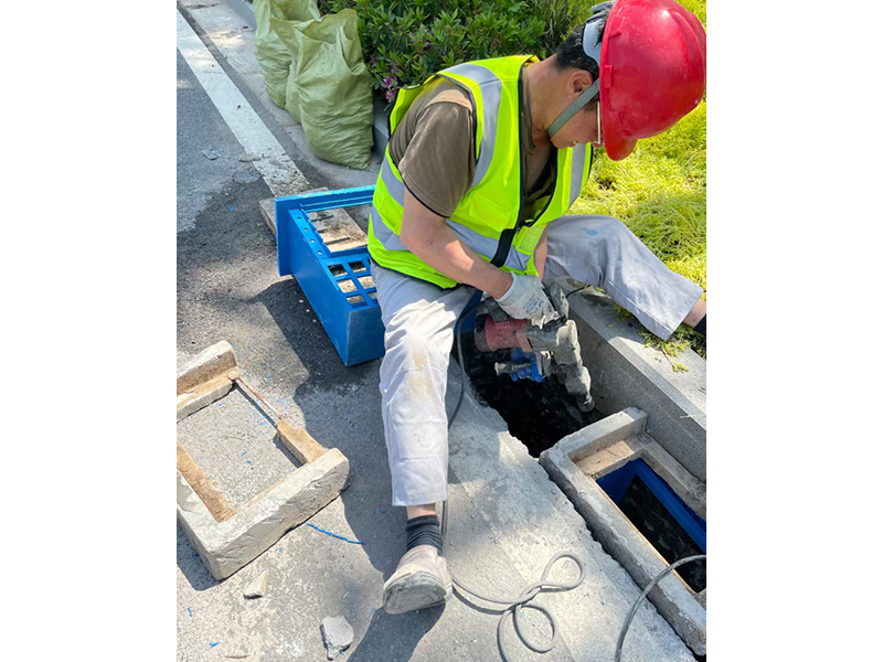 南京江心洲道路海綿化改造