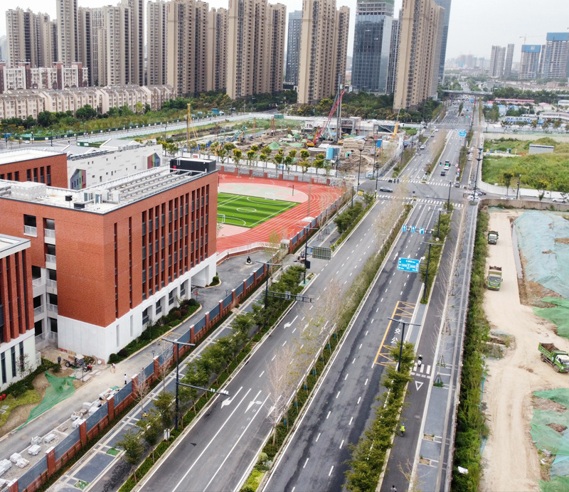 南京南部新城海綿化道路改造