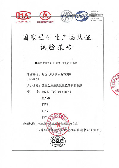 60227 IEC 10 (BVV)