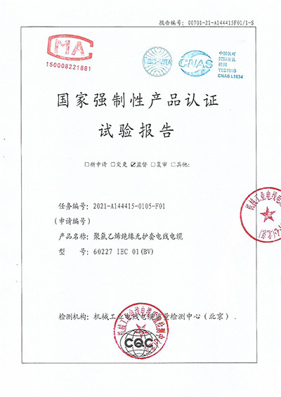 60227 IEC 01(BV)