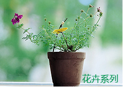 圖片名稱(chēng) 圖片名稱(chēng)