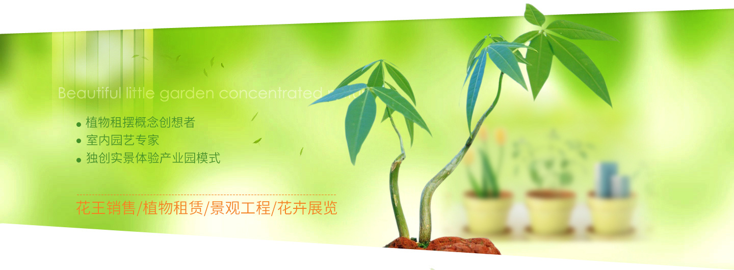 成都市花王園藝發(fā)展有限公司