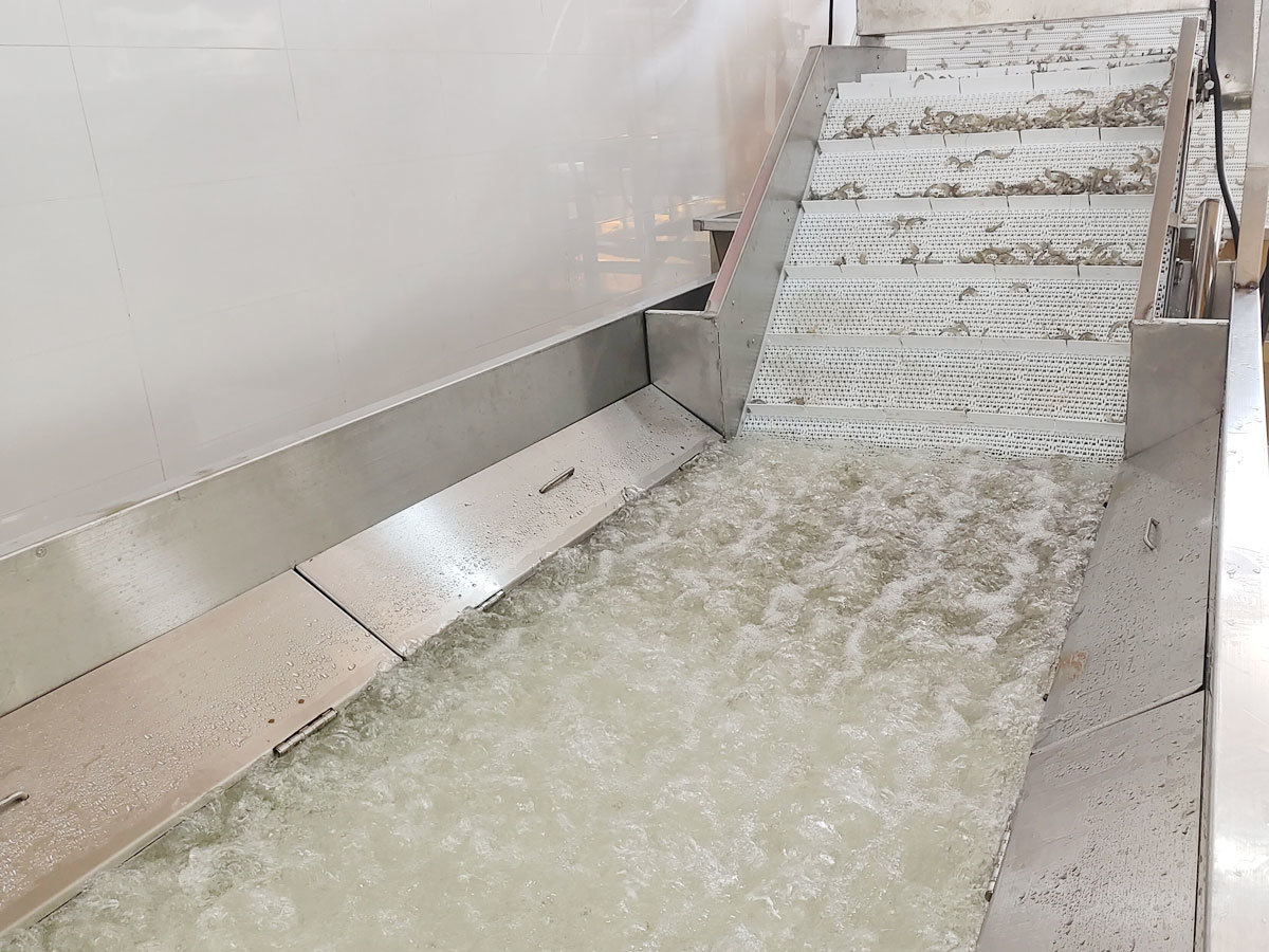 Raw Material Cleaning