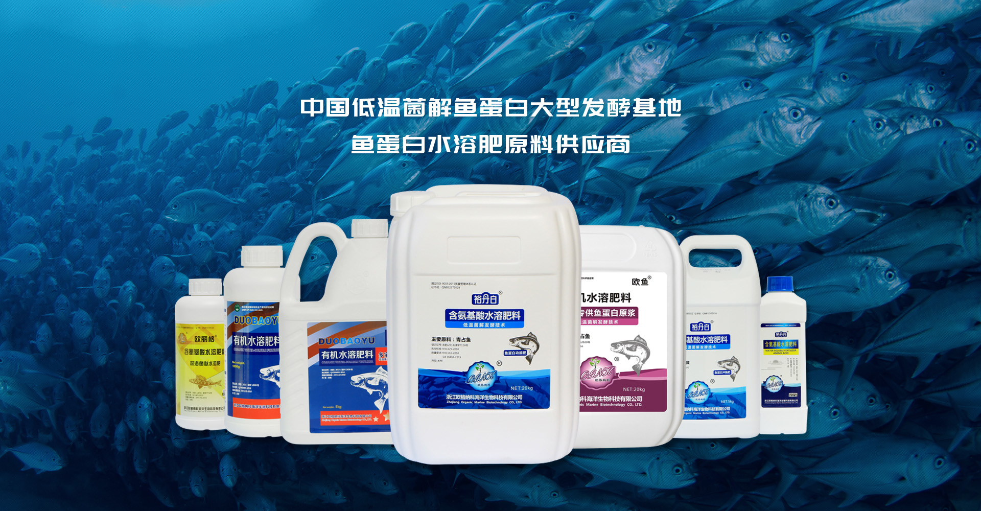 酶解魚蛋白哪家好