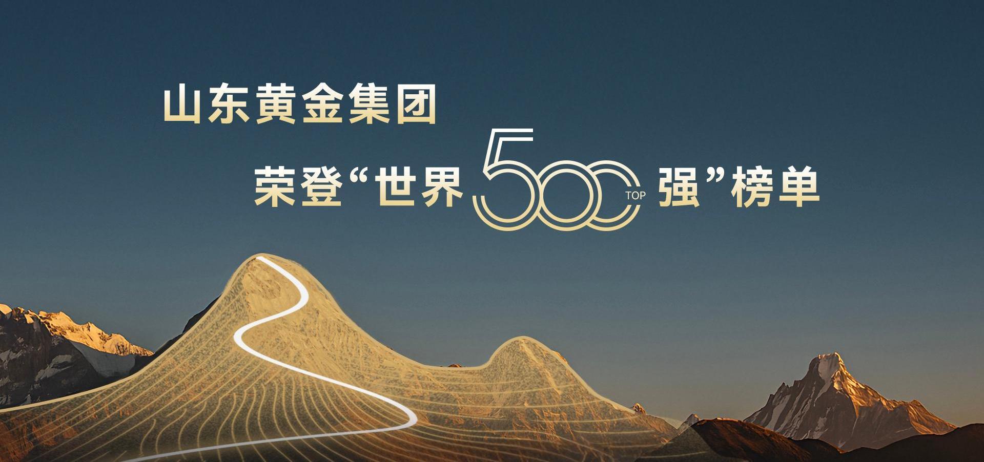 500强