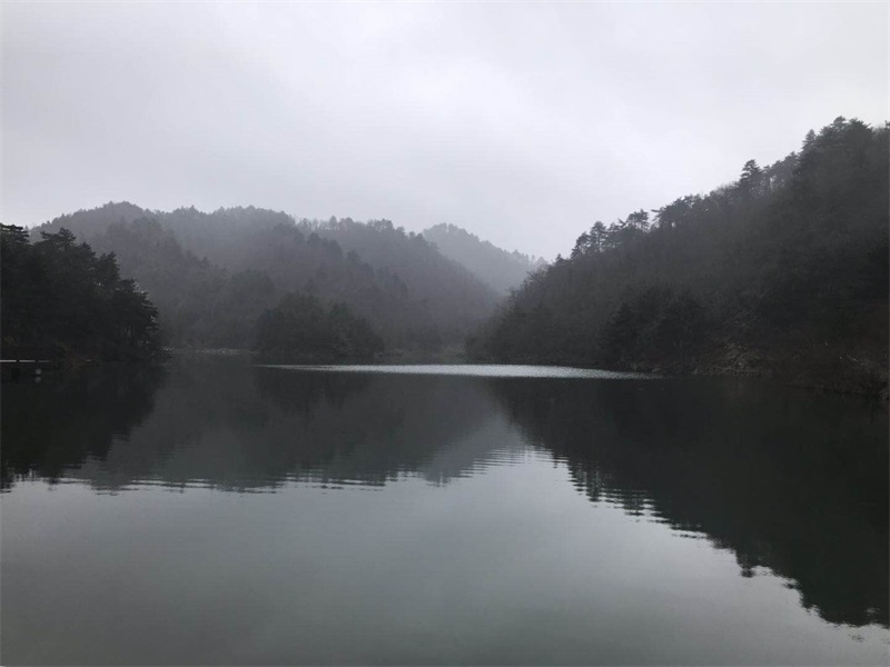 臻尚環(huán)境
