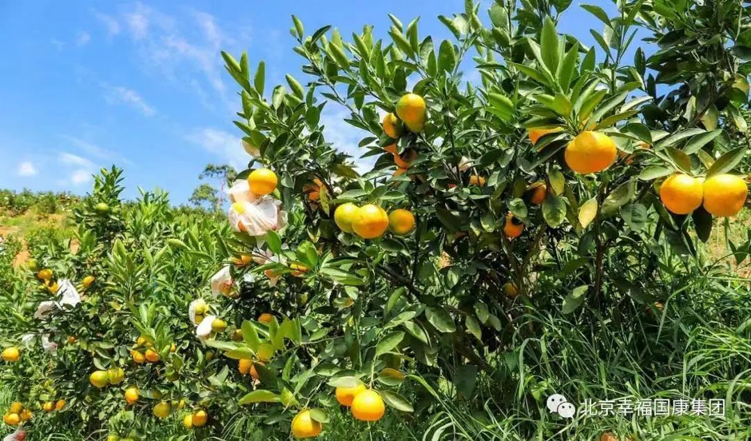 十堰文旅体投集团玄岳官宣旅游公司与幸福国康集团开启战略合作