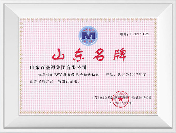 Shandong famous brand CNC non-card shaft rotary cutting machine