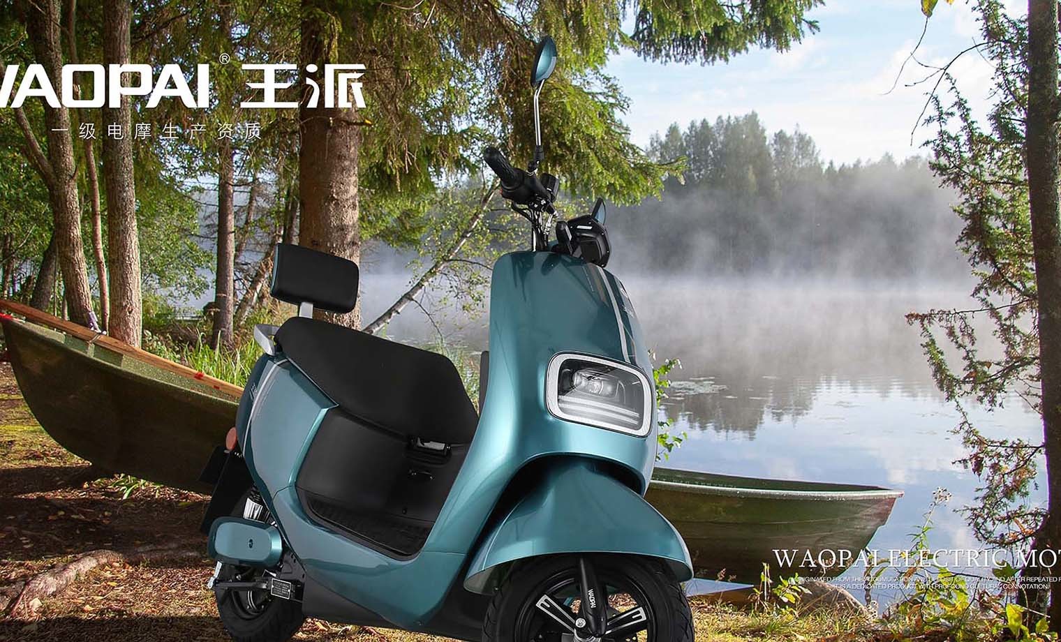 两轮电动轻便摩托车-小精灵五代WP600DQT-7
